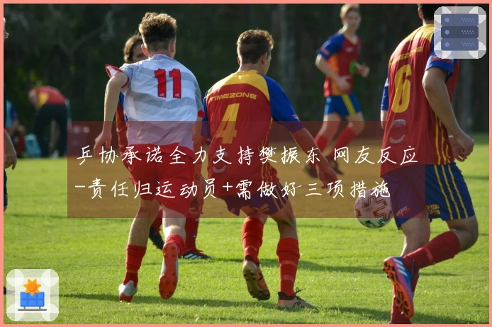 乒协承诺全力支持樊振东 网友反应-责任归运动员+需做好三项措施