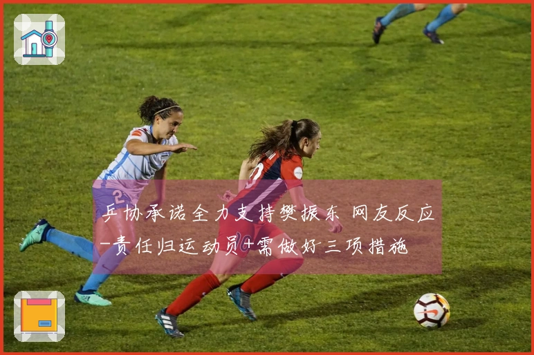 乒协承诺全力支持樊振东 网友反应-责任归运动员+需做好三项措施